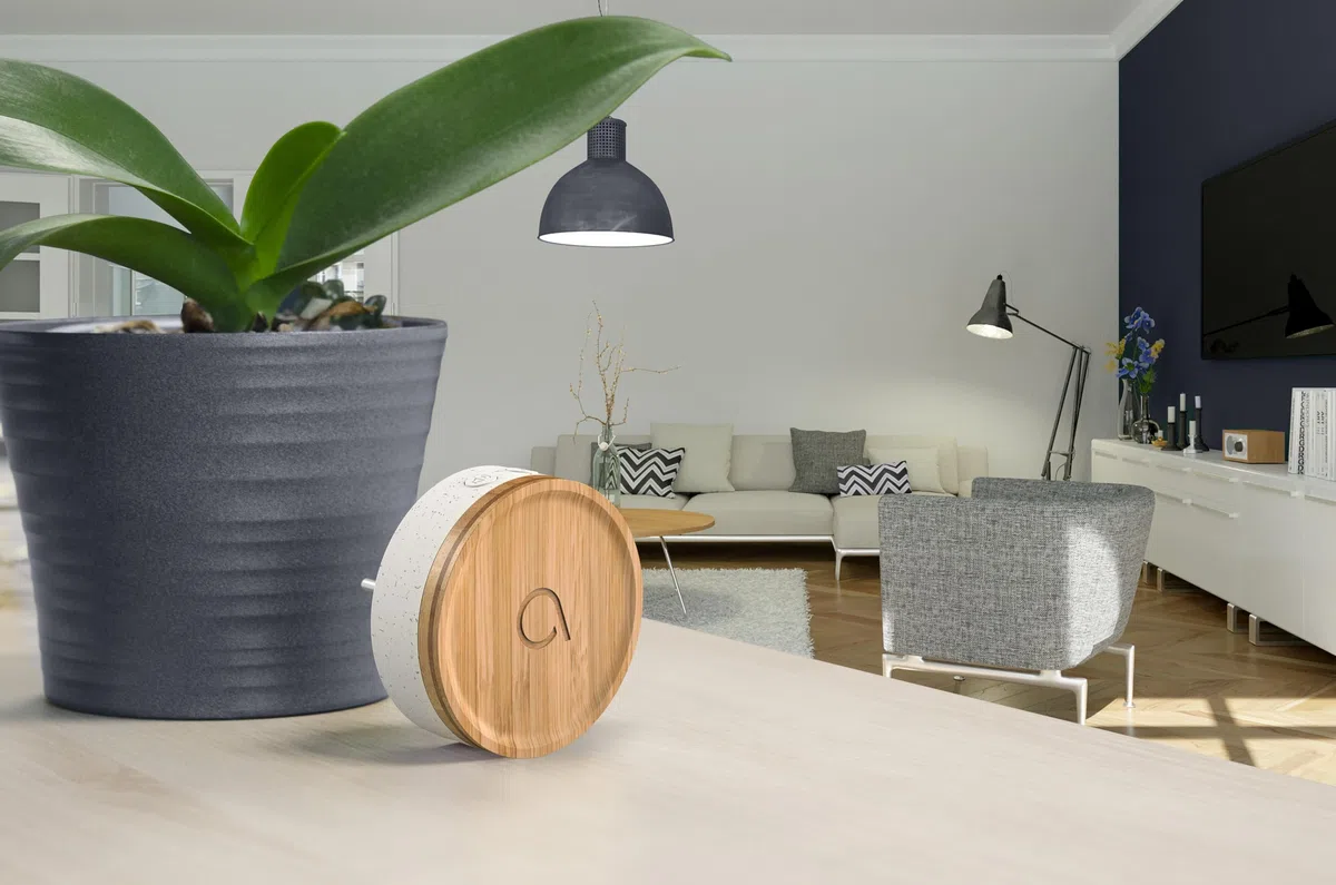 Avidsen Bamboo, Carillon Sans Fil Sans Pile, Sonnette de Porte Étanche IP44, Portée 150m, 32 Mélodies, Design Bois Bambou, Plastique Recyclé, Prise Secteur, Écologique, Installation Facile, Blanc