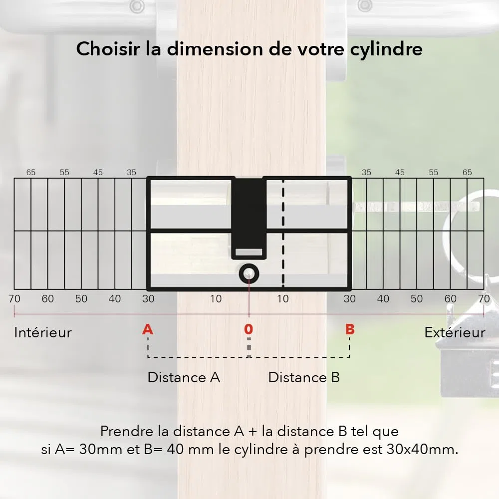 THIRARD Cylindre à Bouton Trafic 6, 30 x 30 mm, Anti-perçage, Nickel, 5 Clés