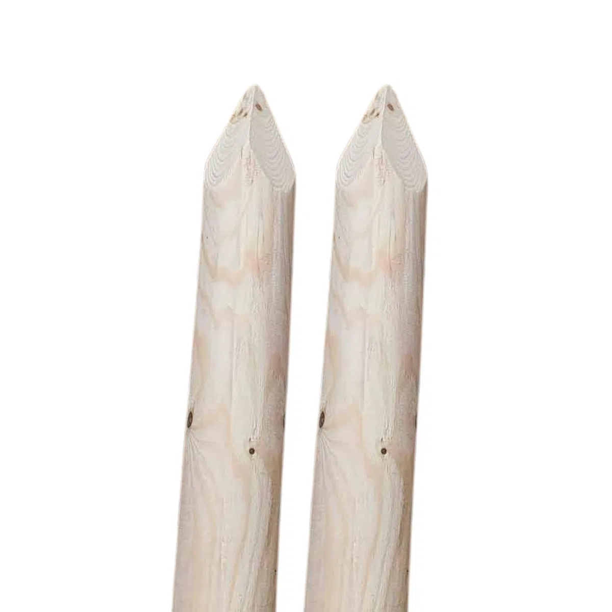 ø 8cm Lot de 2 Piquet Cloture Bois Longueur : 240 cm Poteaux De Clôture De Jardin Non Imprégné Résistant Aux Intempéries Palissade Tuteurs avec Pointe