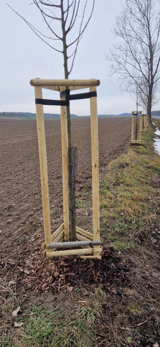 ø 8cm Lot de 2 Piquet Cloture Bois Longueur : 240 cm Poteaux De Clôture De Jardin Non Imprégné Résistant Aux Intempéries Palissade Tuteurs avec Pointe