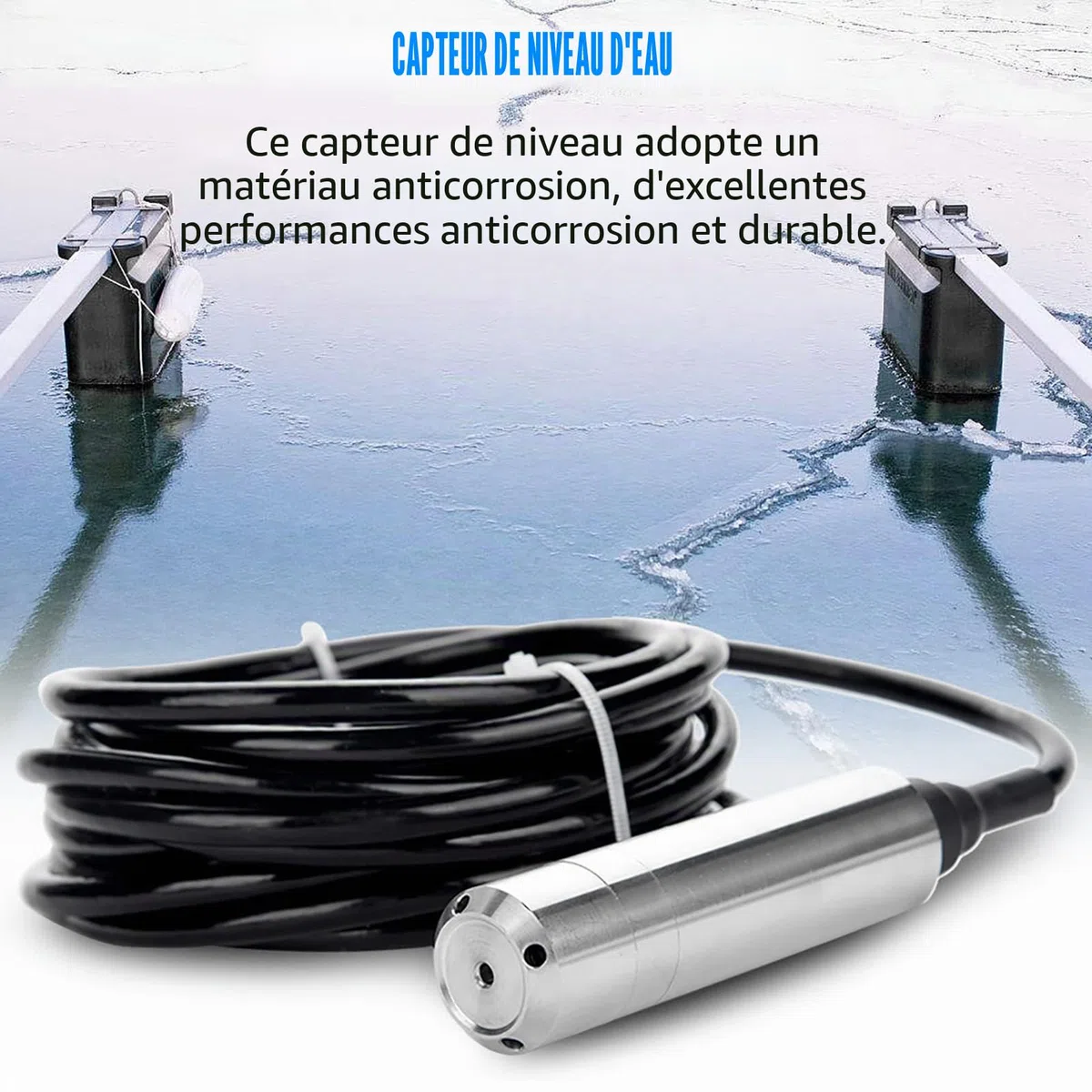 TL231 Capteur Niveau Liquide Immergeable 4-20mA Acier Inoxydable 316 DC24V Plage 0-5m Câble 6m pour Réservoir Eau Piscine Cuve