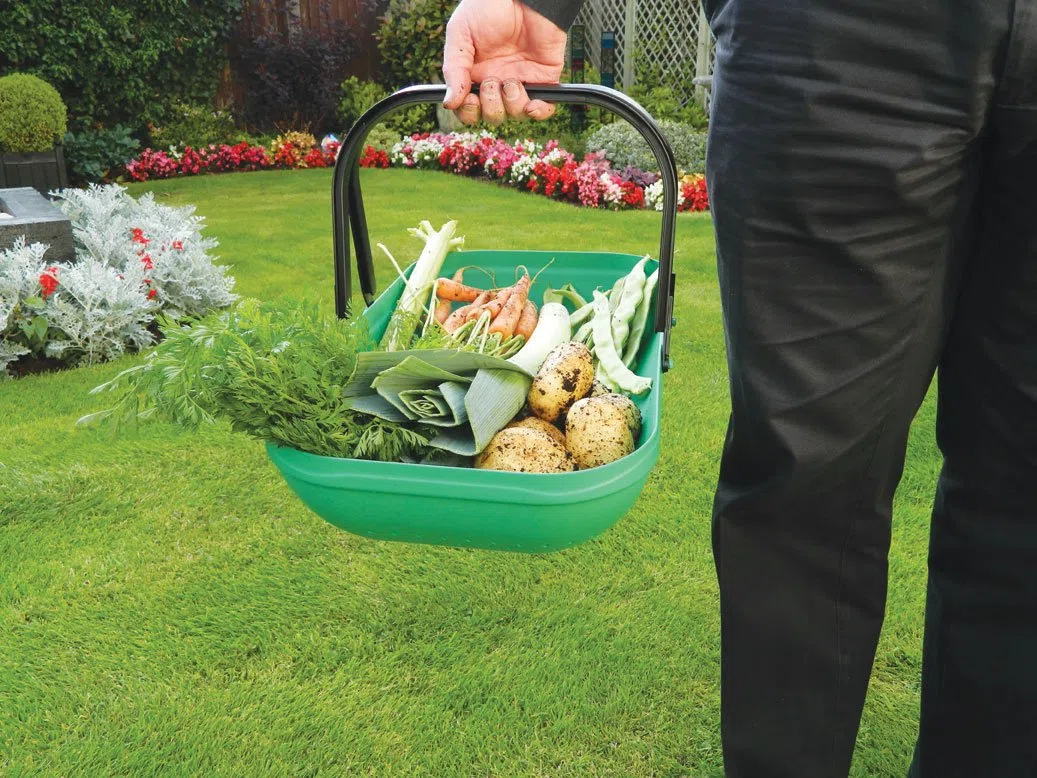 Tierra Garden Gp184 Passoire Panier