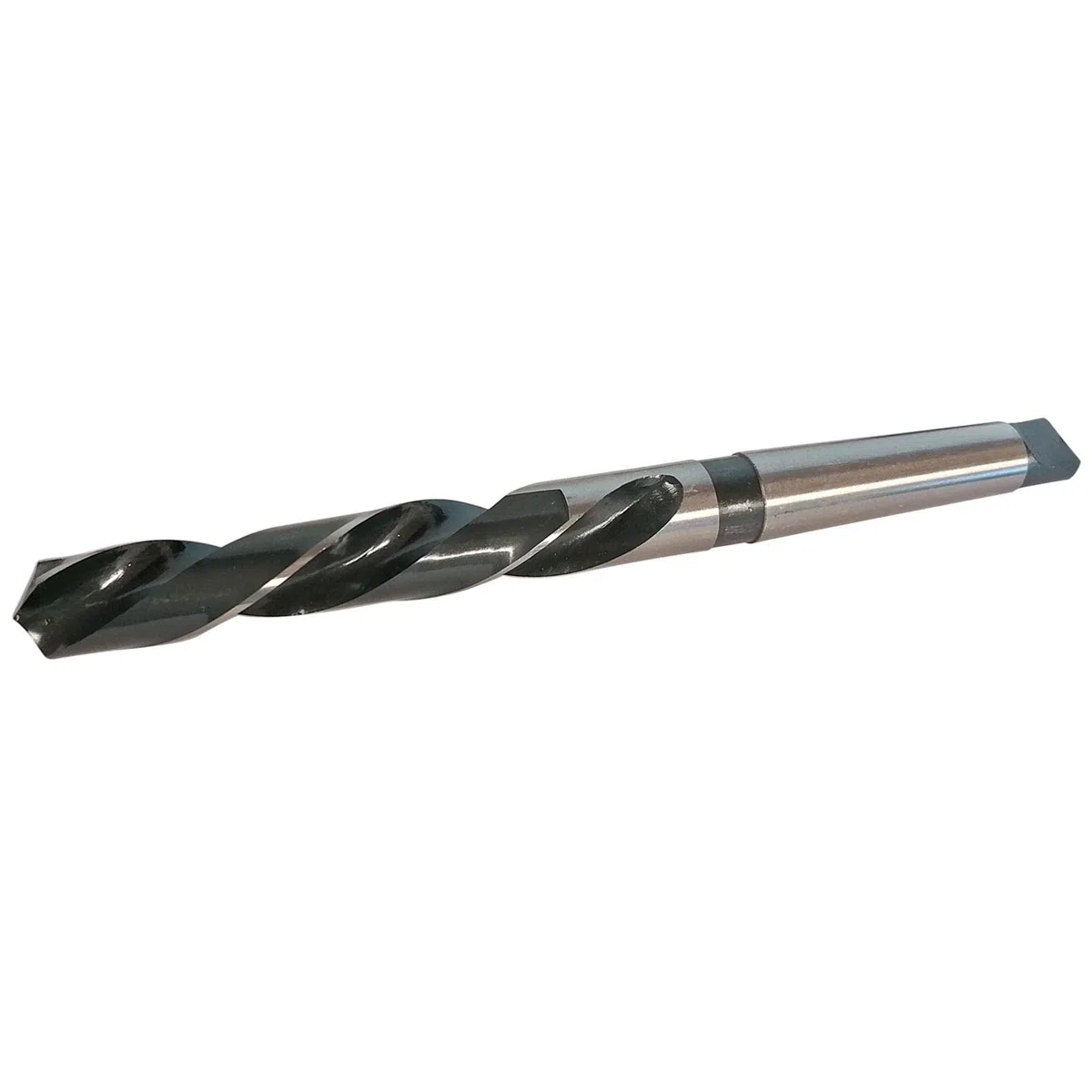 FORETS CONE MORSE - conemorse : FORET DE 25