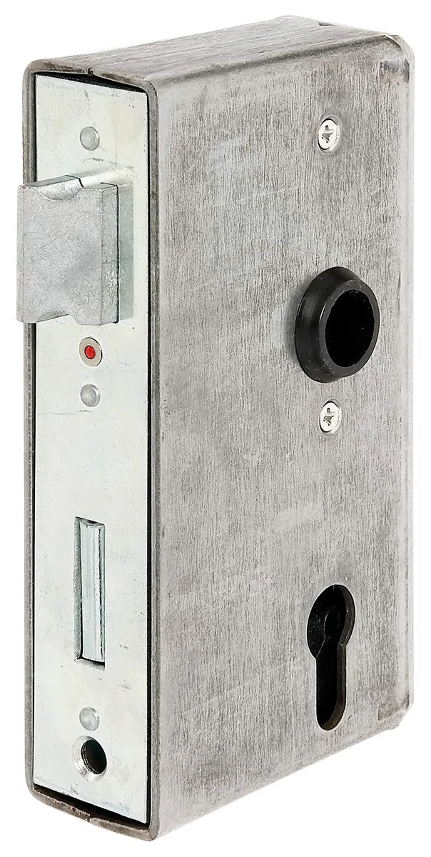 Alberts 417055 Boîtier de serrure | avec serrure galvanisée | acier | cote axe 60 mm | 172 x 94 x 40 mm