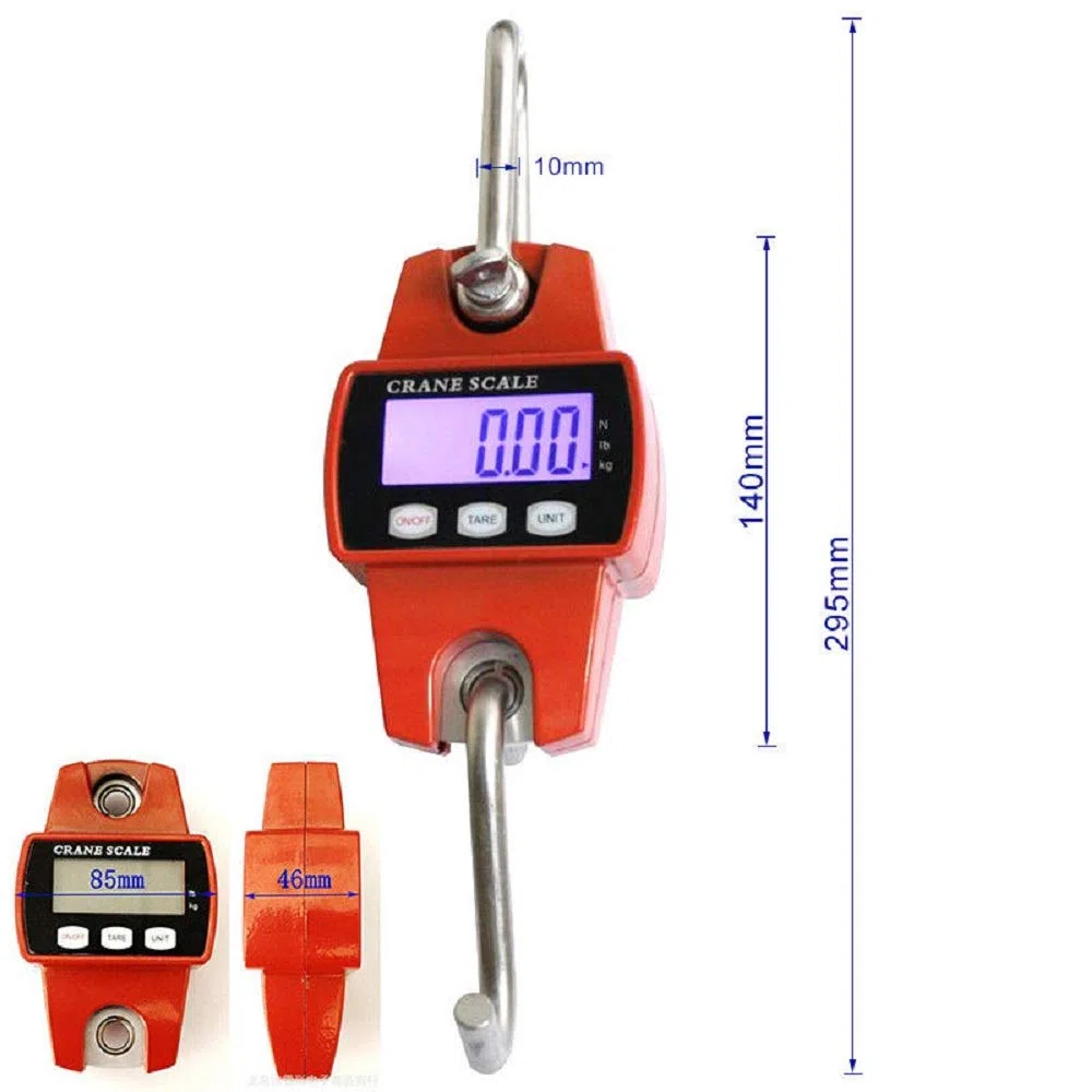 Dynamomètre professionnel numérique 300KG/100g avec affichage LCD