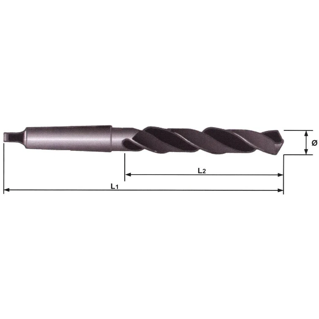 FORETS CONE MORSE - conemorse : FORET DE 28