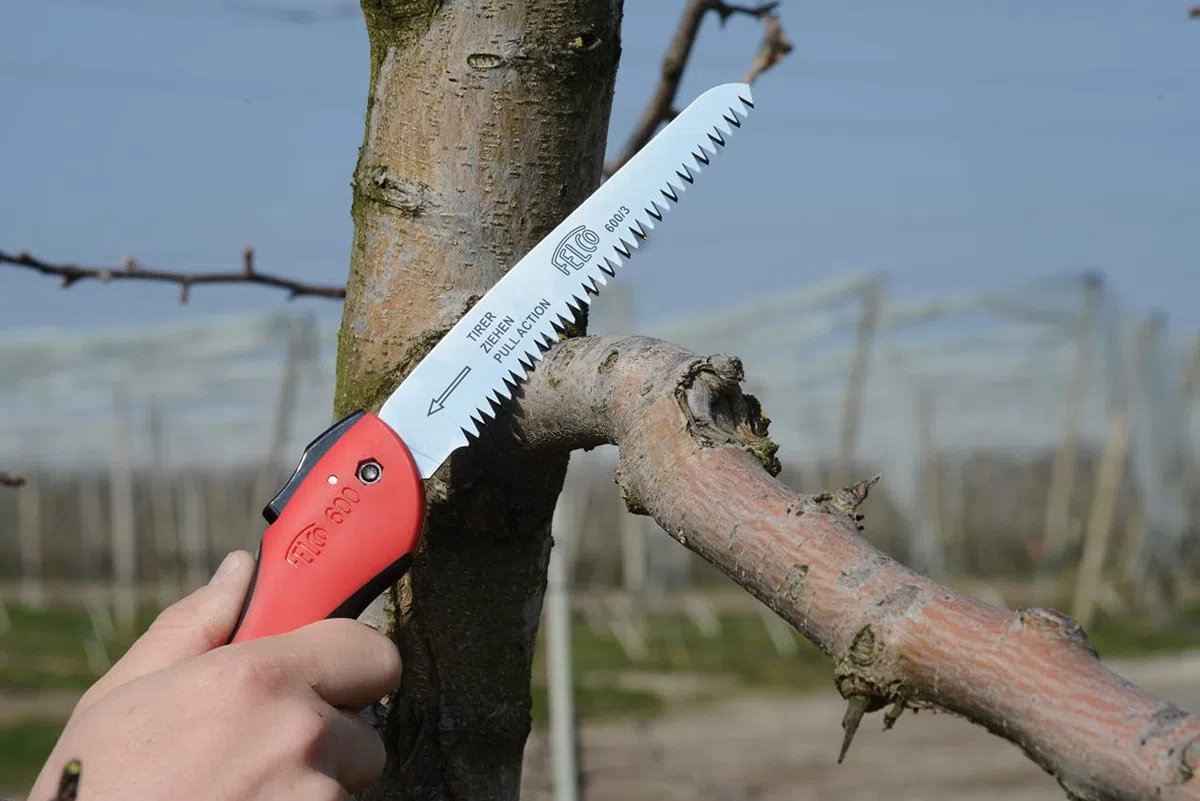 FELCO 600 Scie (lame de scie 16 cm, scie pliante coupe Ø 50 mm, longueur 350 mm, coupe tirante, scie pliante, scie pour arbres pour droitiers et gauchers)