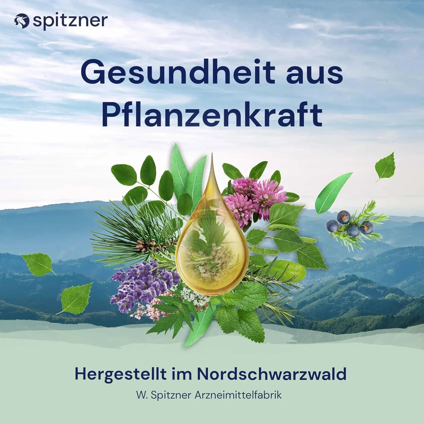 Infusion pour sauna « Pin de montagne » (1000 ml) de Spitzner