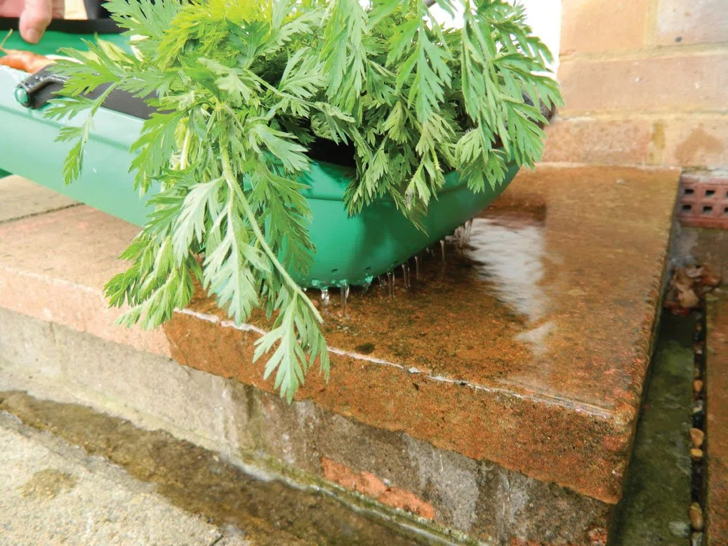 Tierra Garden Gp184 Passoire Panier